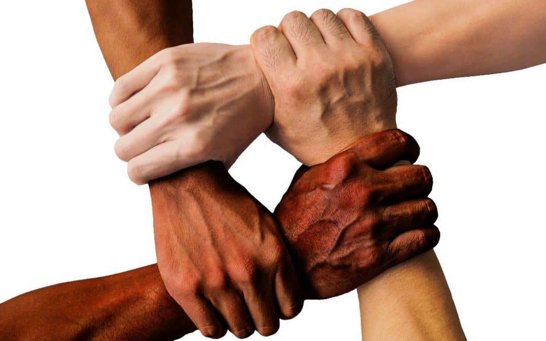 Gestión de la Diversidad e Inclusión